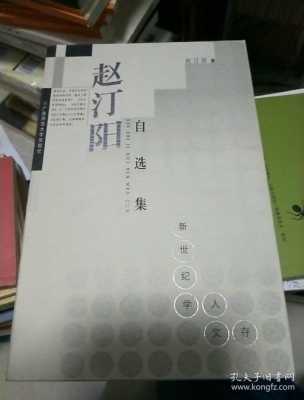 赵汀阳书籍（赵汀阳的书）