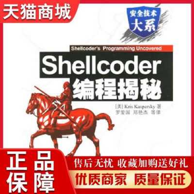 shellcoder编程书籍教程（shellcode编程揭秘pdf）