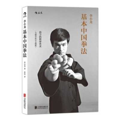 中国拳法书籍（中国拳法流派）