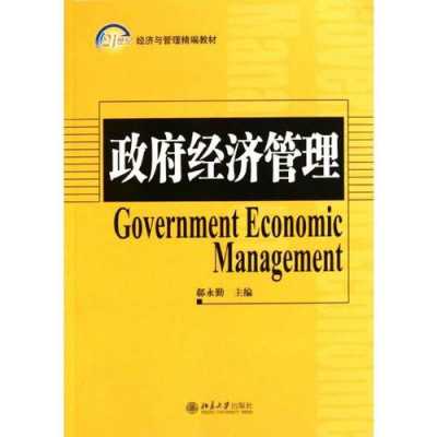 政府管理专题书籍（政府管理理论有哪些）