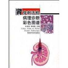 肾小球病理图谱书籍（肾小球疾病病理诊断常用的方法包括）