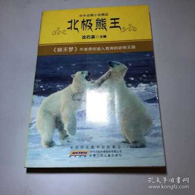 《北极熊》书籍（北极熊书籍推荐）