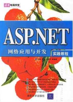 asp.net项目书籍（aspnet web开发 书籍）