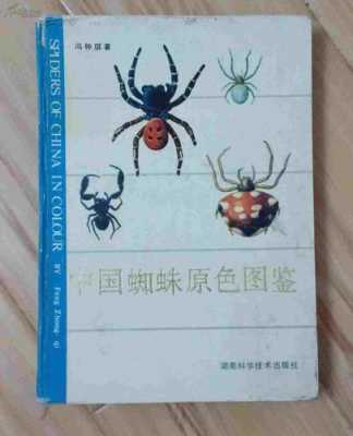 蜘蛛大全书籍（蜘蛛的所有书）