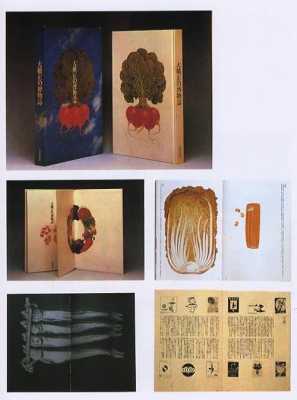 日本结构概念书籍（日本结构设计）