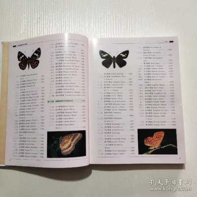中国蝴蝶书籍（中国蝴蝶百科）