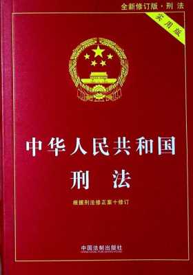 中国刑法书籍（中国刑法书籍电子）