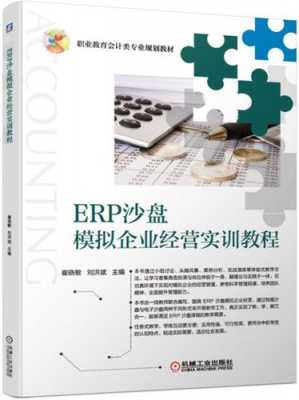 erp沙盘模拟书籍（erp沙盘模拟原理与实训）